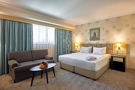 Double Deluxe Room for Single Use