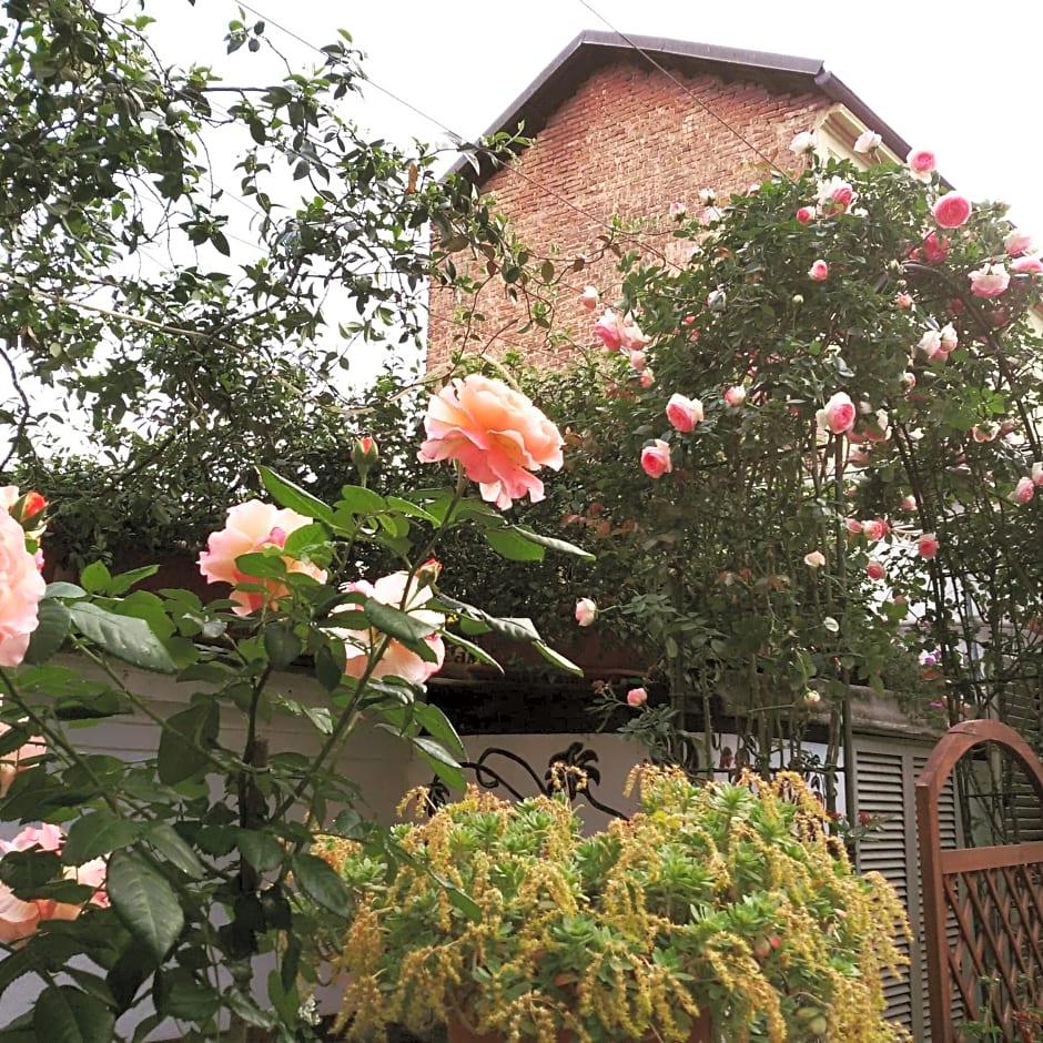 Albergo Avalon