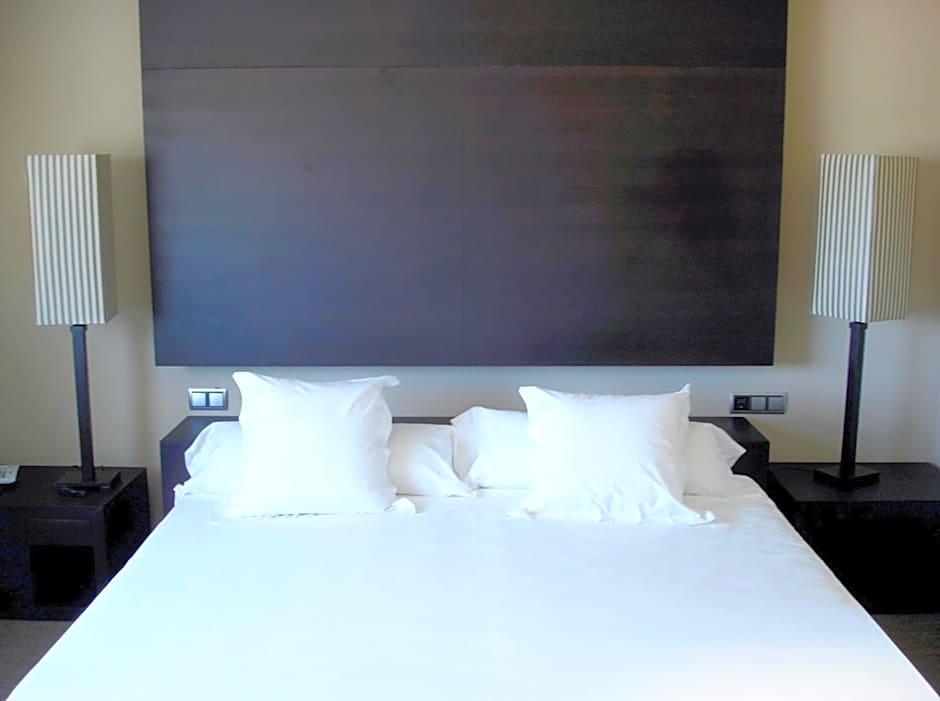 Hotel Bodega Pago del Vicario