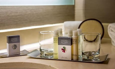 1 King Bed Non Smoking Presidential Suite