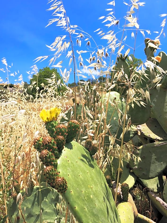 B&B Terre Di Sicilia