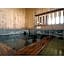 Tennen Onsen Kakenagashi no Yado Hotel Pony Onsen - Vacation STAY 50872v