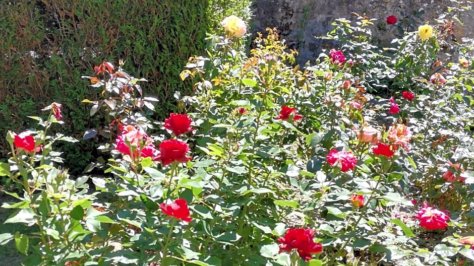 La Haute Traversière