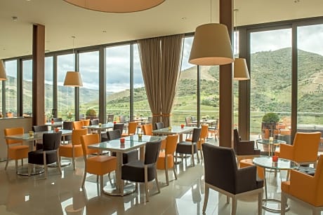 Vila Gale Douro Vineyards