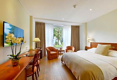 Standard Double with Partial Lake View