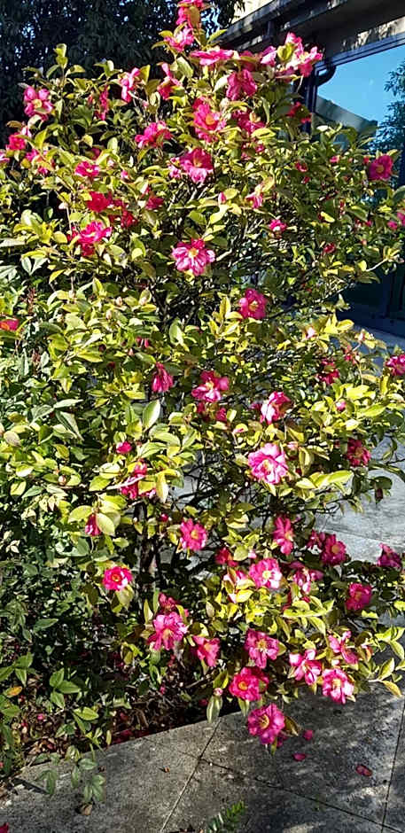 Hotel Tiffany Milano