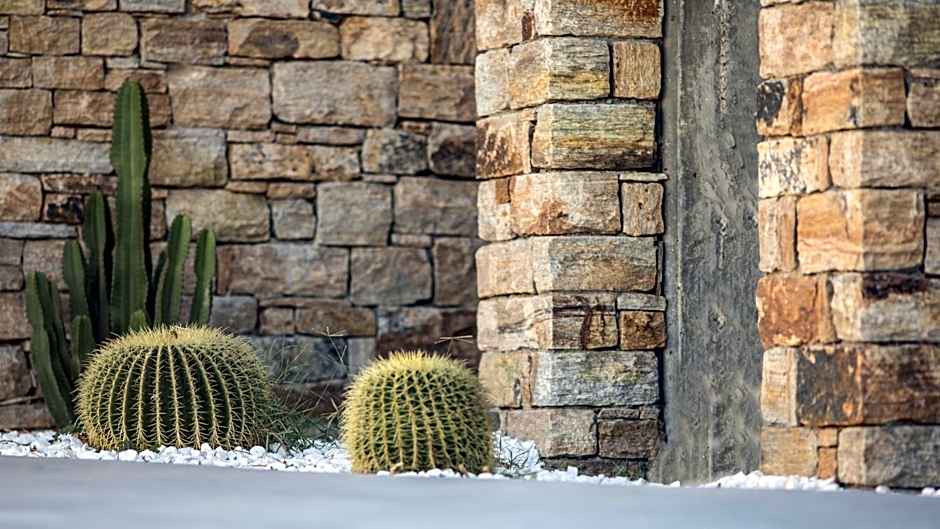 Naxos Euphoria Suites