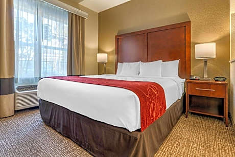 1 King Bed, Suite, Nonsmoking