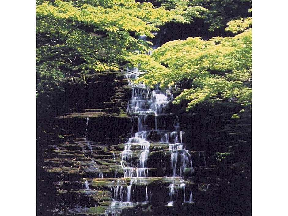 Oyasukyo Onsen Ryokan Tarobee - Vacation STAY 56764v