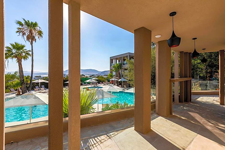 White Olive Premium Lindos