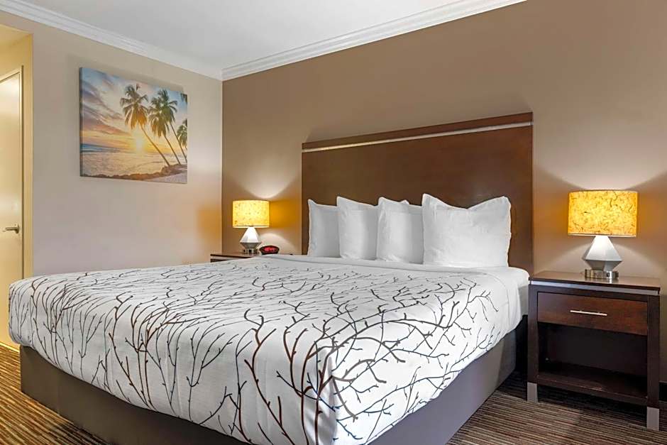 Best Western Redondo Beach Galleria Inn Hotel - Beach City LA