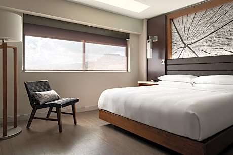Suite King Bed Non Smoking