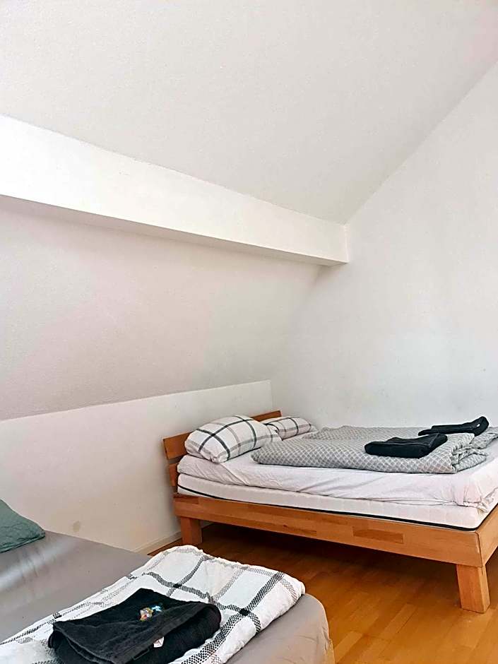 Simplex Apartments Am Ludwigsplatz