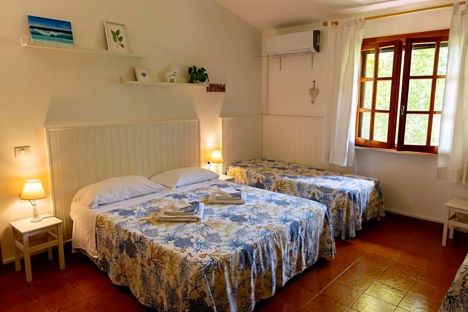 B&B Cavalieri