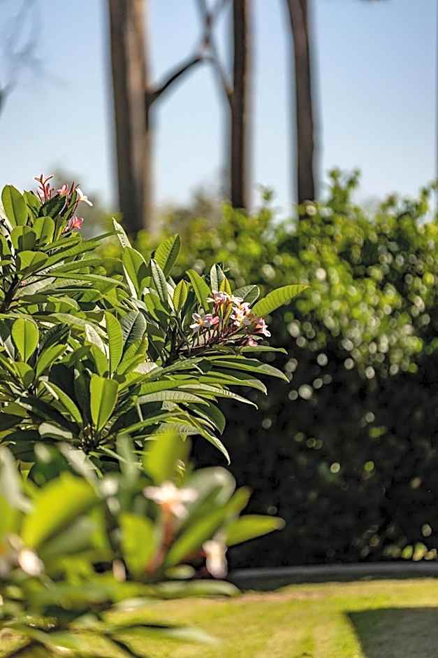 Mala Retreat Chardonnay Studio Immaculate and Comfortable