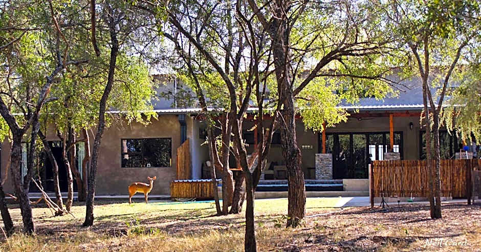 Dream of Africa Bush Lodge