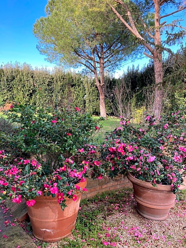 B&B Villa FioreConero