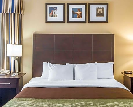 1 King Bed, Nonsmoking