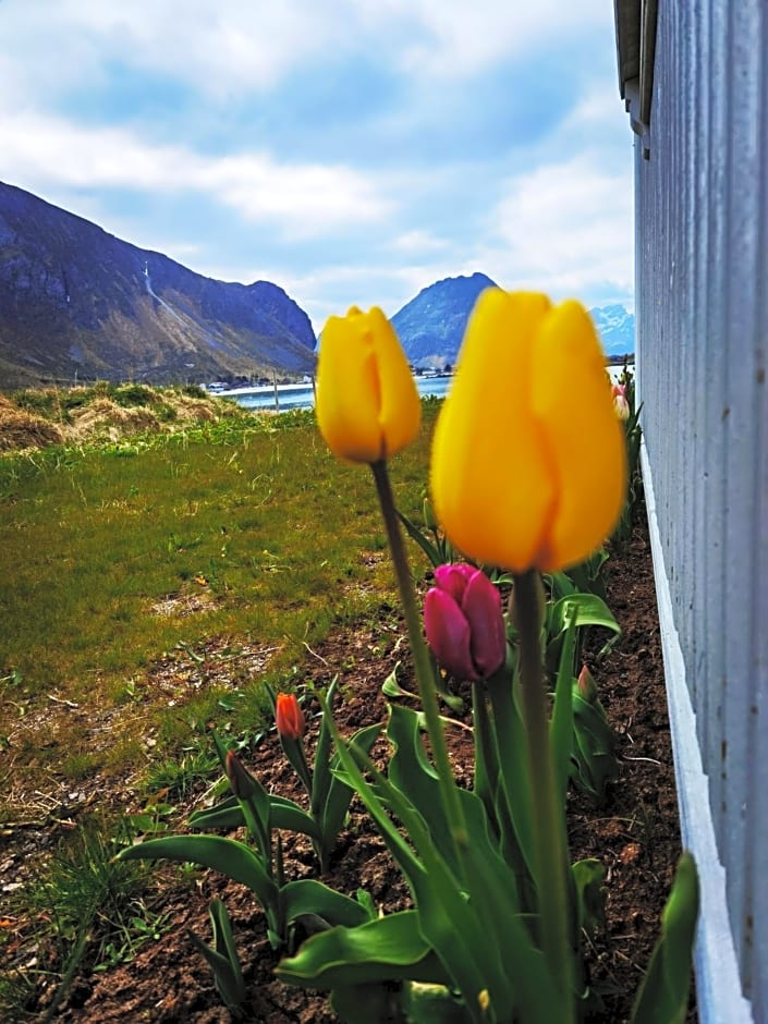 BanPim Beachside Lofoten