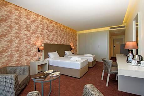 Twin Room with Balcony