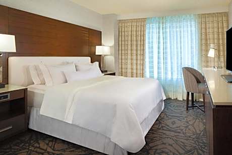 Traditional, 1 King Bed