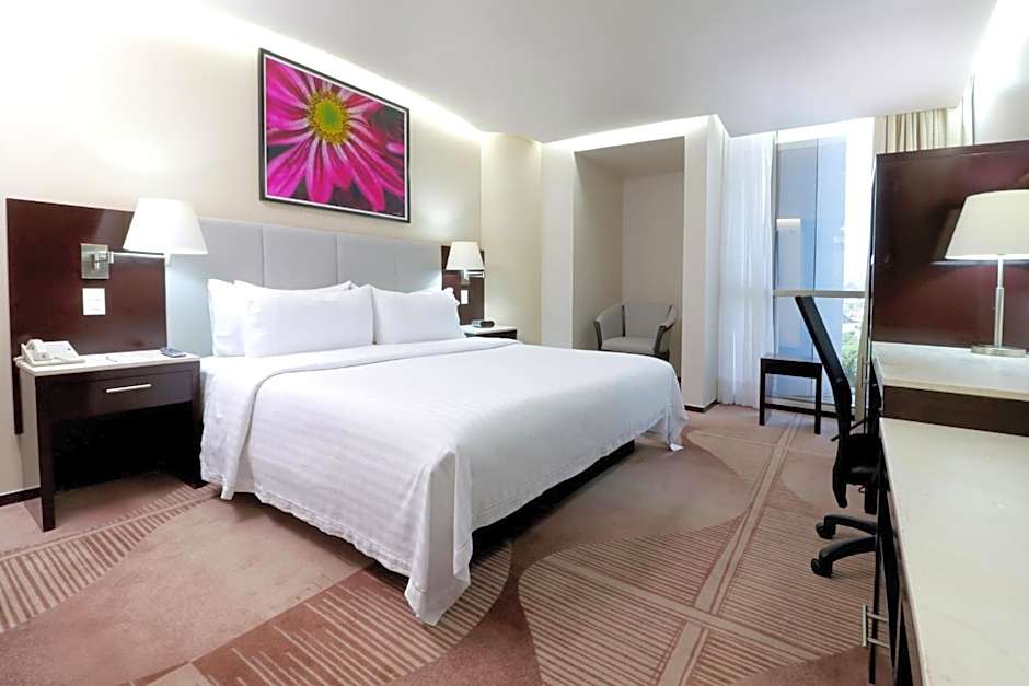 Holiday Inn Hotel & Suites Mexico Medica Sur By IHG