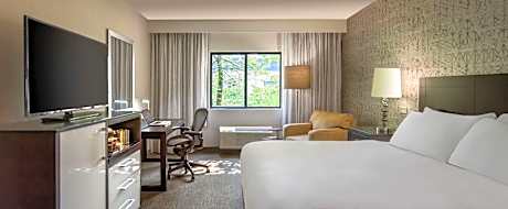 1 King Bed Non-Smoking