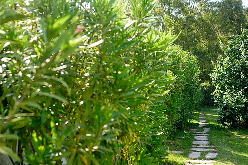 Skiathos Holidays Suites & Villas