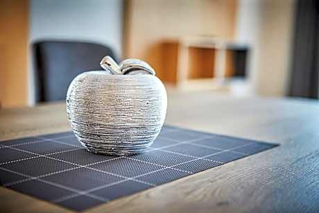 Two-Bedroom Apartment with Large Terrace and Sauna