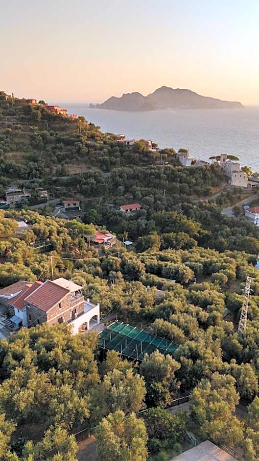 Casa Clementina Marciano