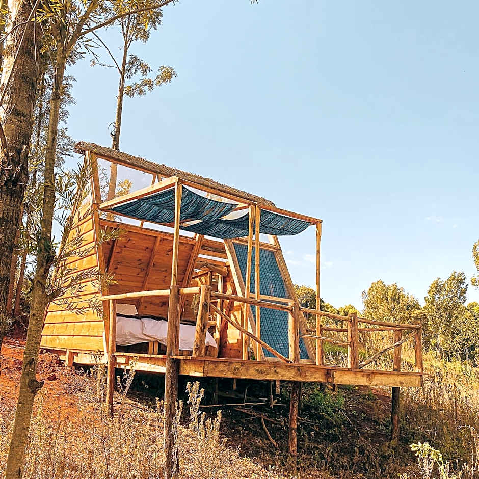 Foresight Eco Lodge & Safari