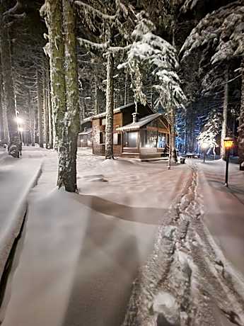 Karinna Orman Evleri