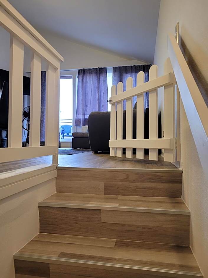 King Panorama mit Netflix