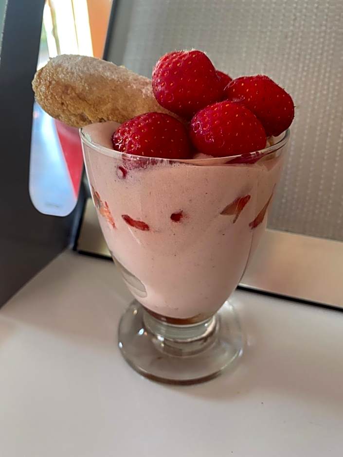 HOTEL L'AMERIVIERE***