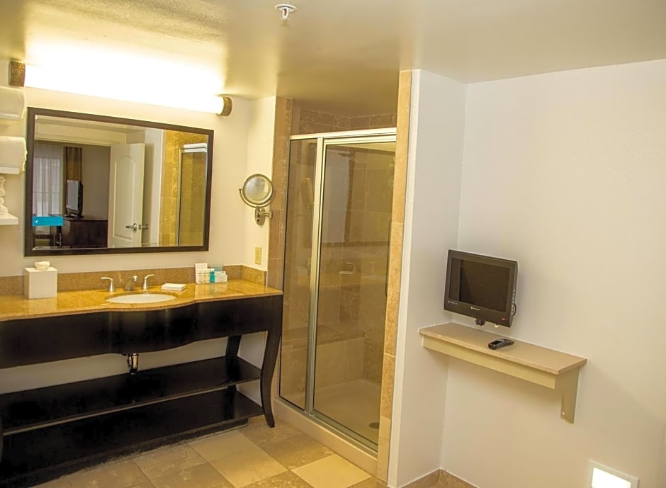 Hampton Inn & Suites Albany-Downtown
