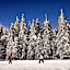 Alemannenhof - Boutique Hotel am Titisee