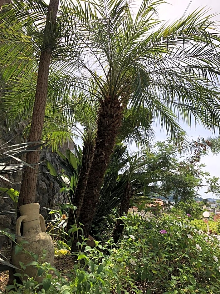 B&B Villa Anna Wunderbar