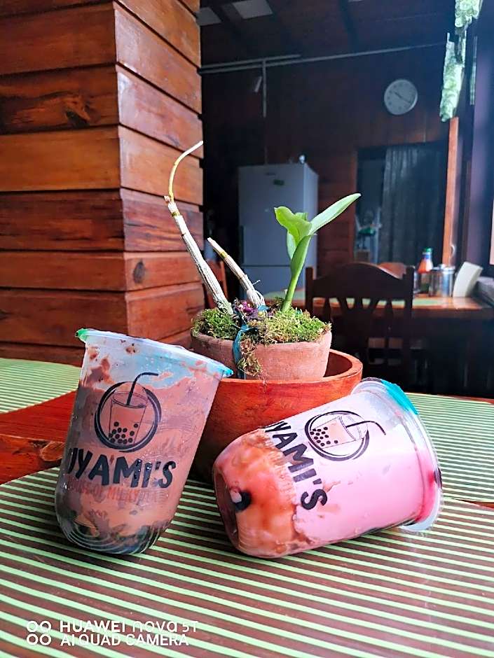 Uyami's Green View Lodge