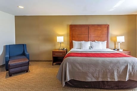 1 King Bed, Suite, Nonsmoking
