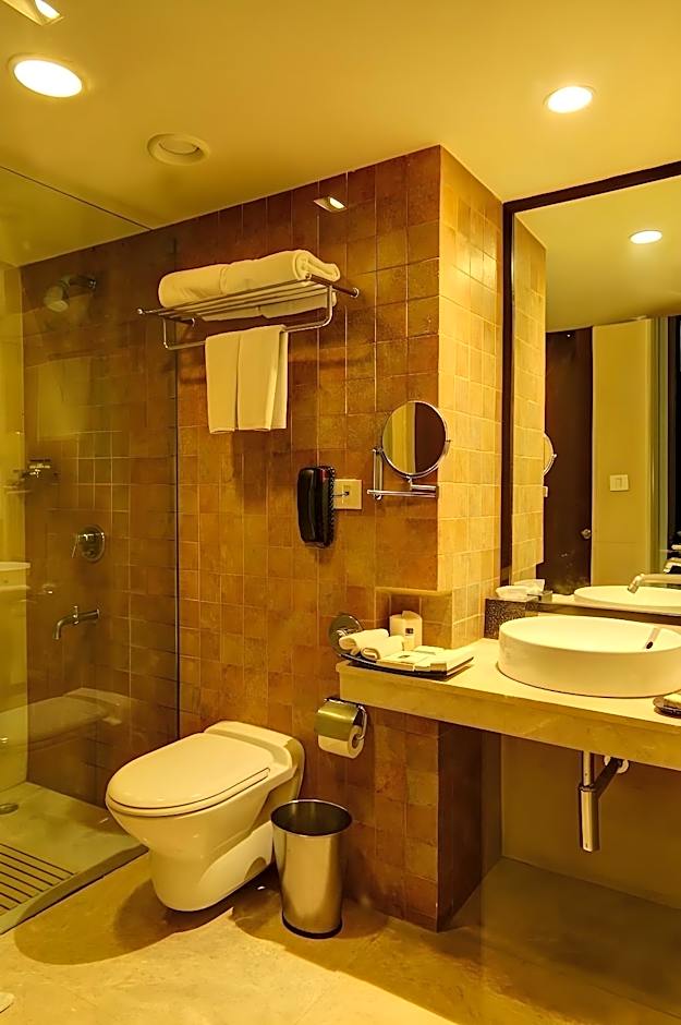 Mosaic Original, Noida