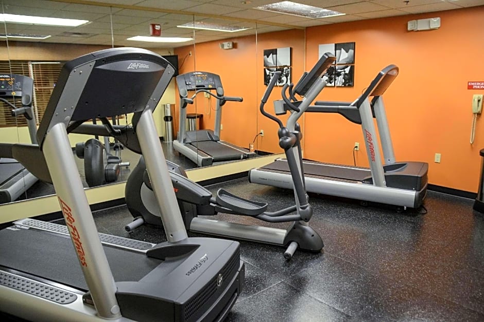 Country Inn & Suites by Radisson, Dundee, MI