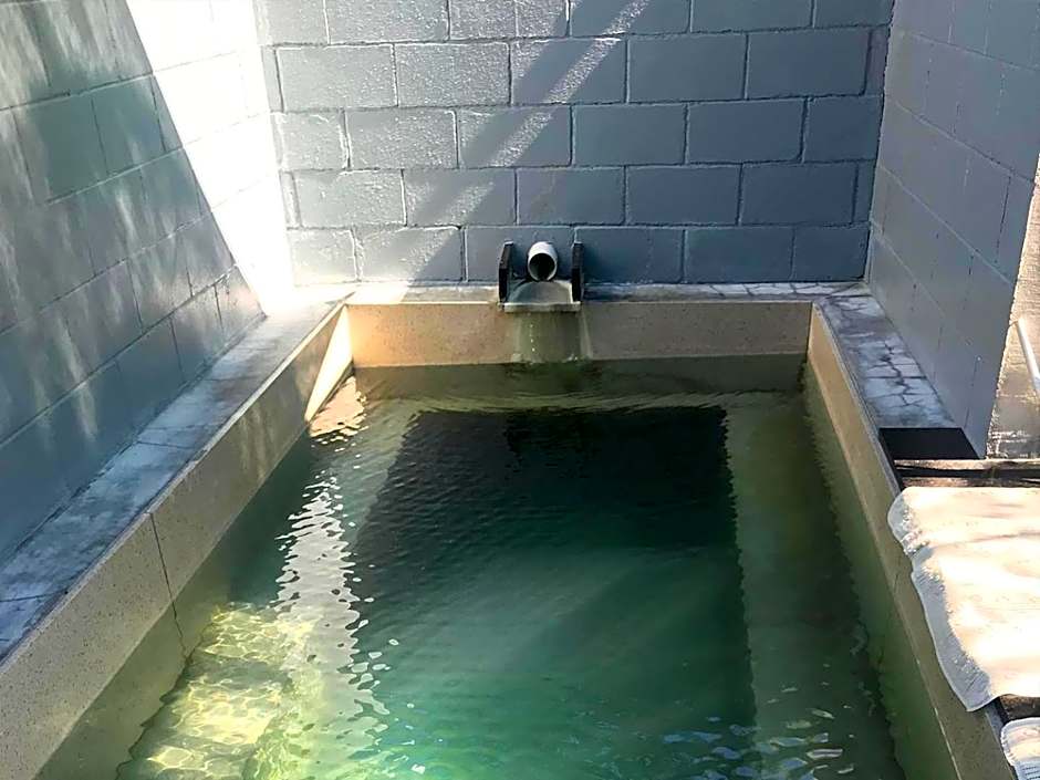 Te Puia Hot Springs Hotel