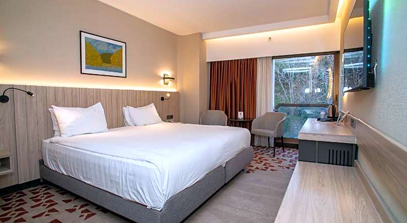 Best Western Plus Hotel Konak