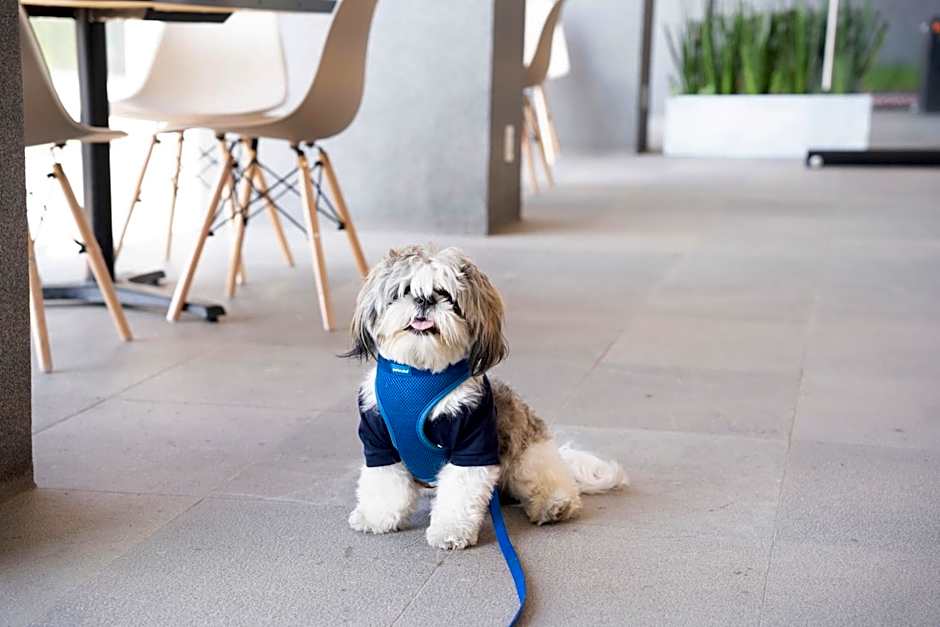 Stadía Suites Querétaro Centro Histórico