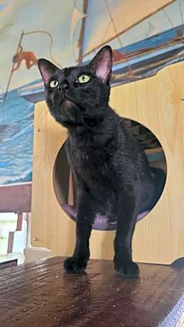 Paseo Del Mar Seaside Inn