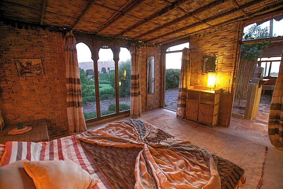 Dar Danse, the Bubble on the Beach