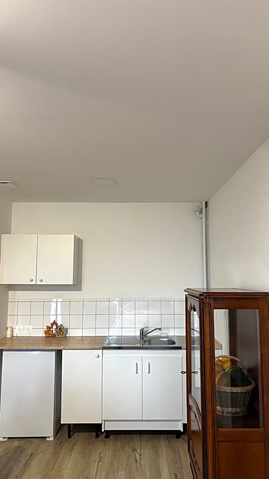 Hotel Primo Colmar Centre