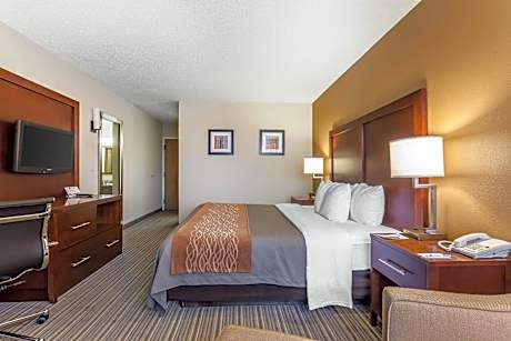 Queen Room - Disability Access - Non-Smoking