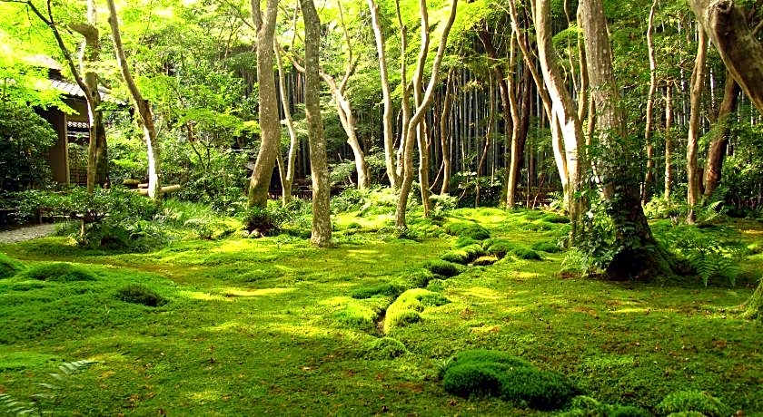 Hotel M's Est Shijo Karasuma