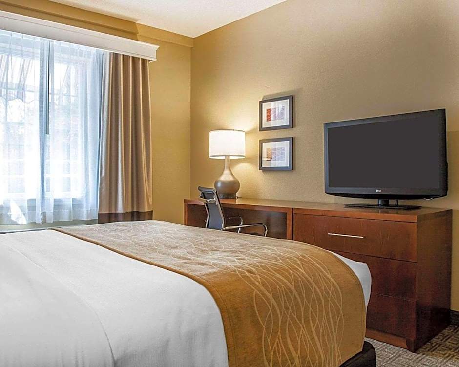 Comfort Inn & Suites Sturbridge-Brimfield